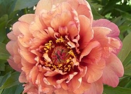 unnamed (2)2